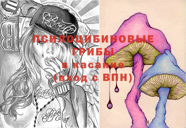 прущий лед Абаза