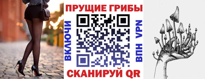Галлюциногенные грибы Psilocybine cubensis  Цоци-Юрт 