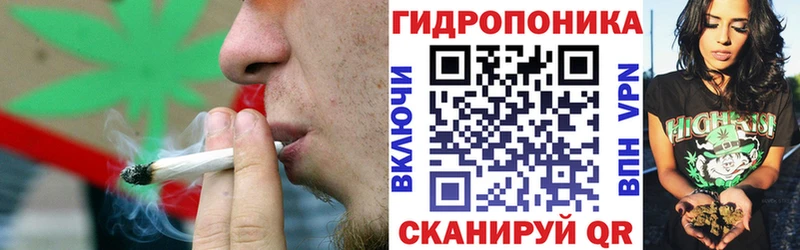 Бошки марихуана планчик Цоци-Юрт